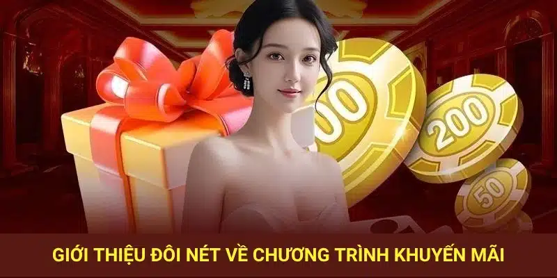 Giới thiệu đôi nét về chương trình khuyến mãi.